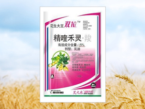 ݰ֮r(nng)r(nng)I(y)Ƽ޹˾