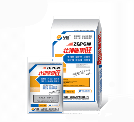 �񳯉Ѹ������